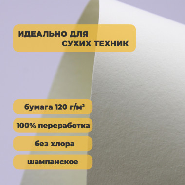 Скетчбук Nature шампанское 120г/м для сухих техник — Fandomia